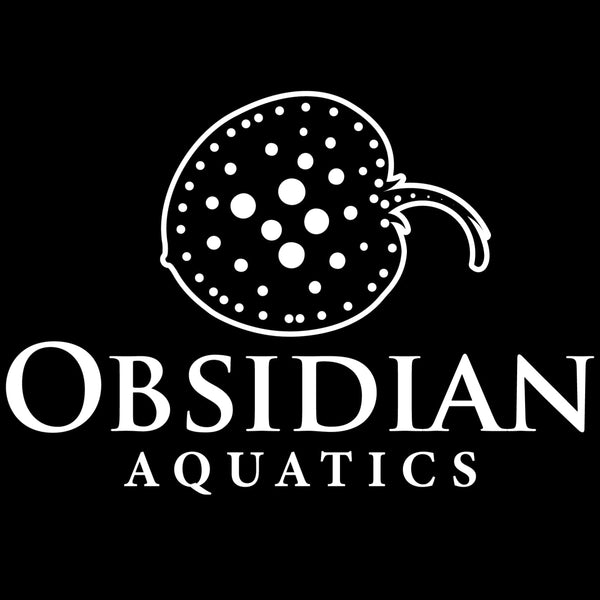 Obsidian Aquatics