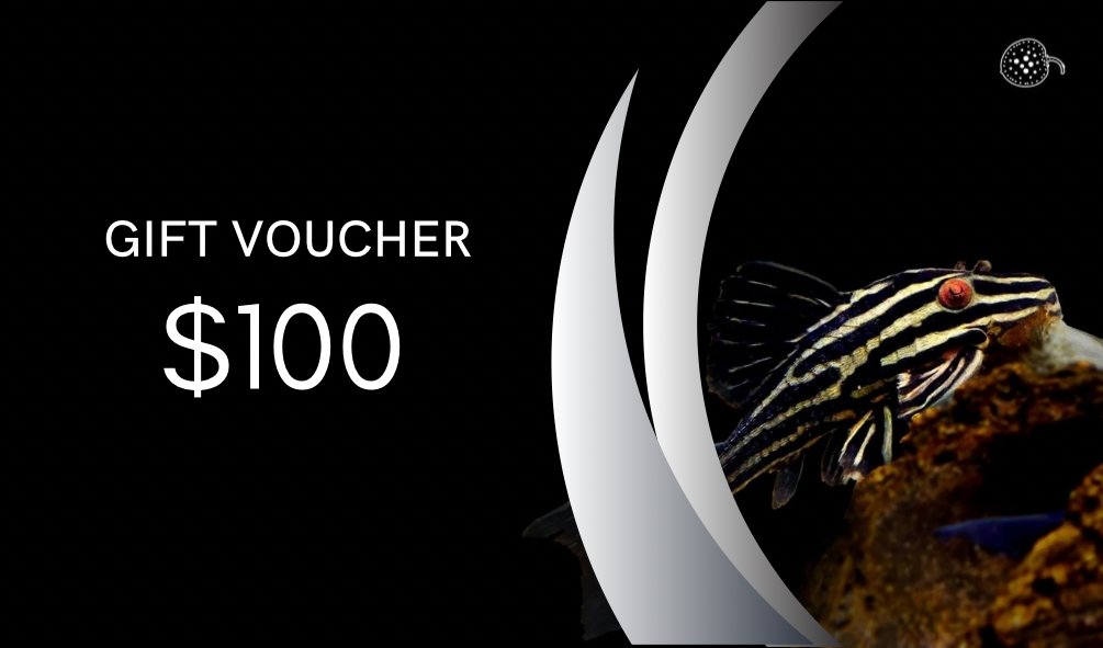 Gift voucher - Obsidian Aquatics