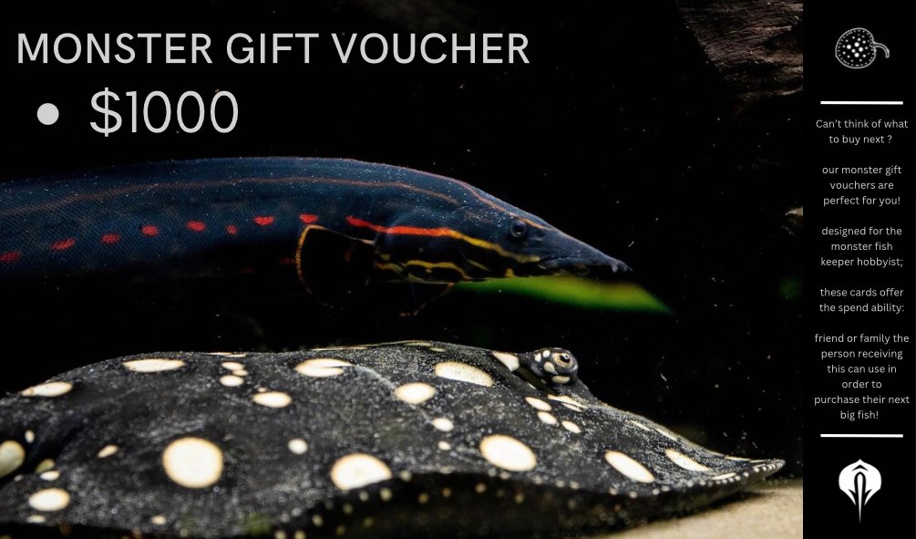 Monster Gift Vouchers - Obsidian Aquatics