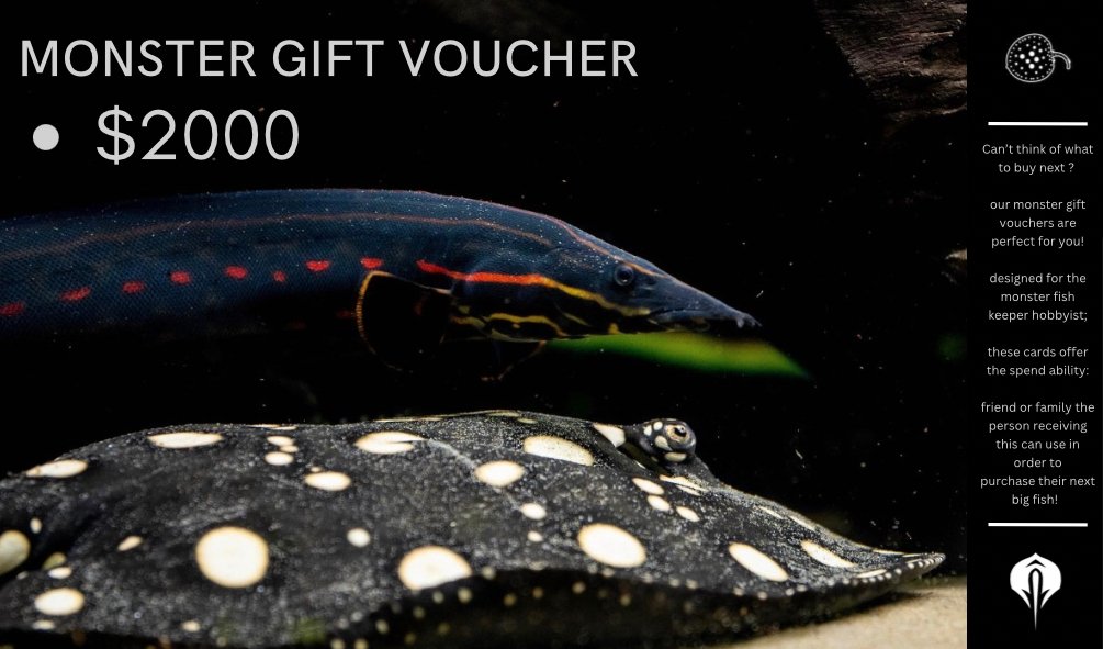 Monster Gift Vouchers - Obsidian Aquatics