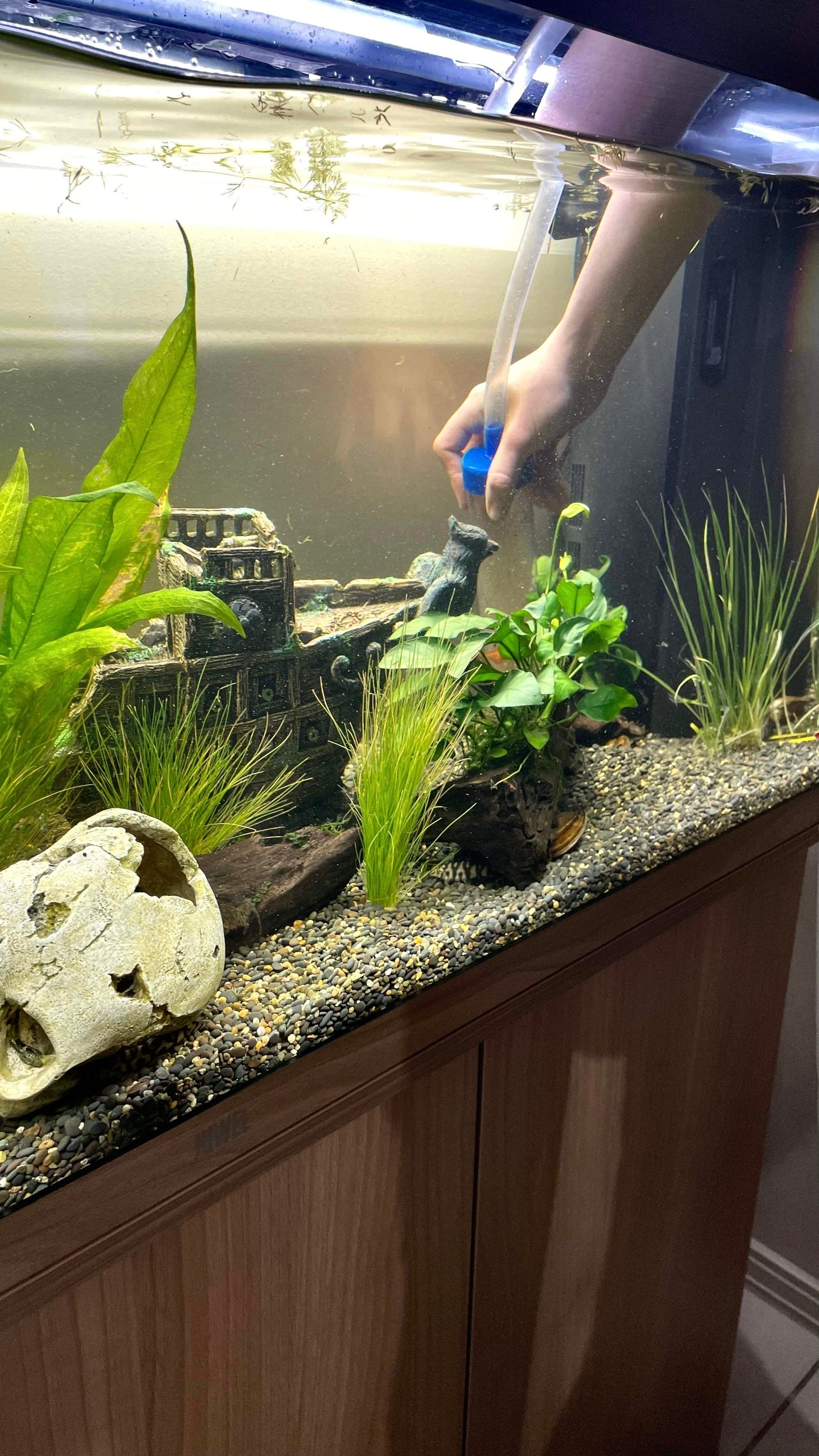 Servicing - Standard Hourly Rate - Obsidian Aquatics