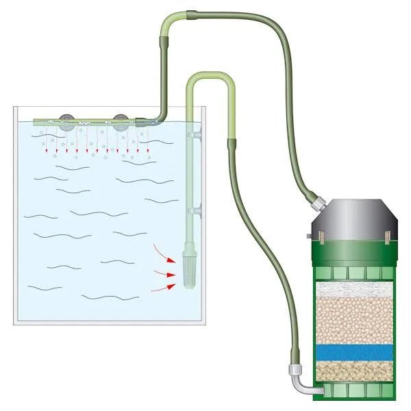 Eheim Classic 2217 (600) Filter & Media - Obsidian Aquatics
