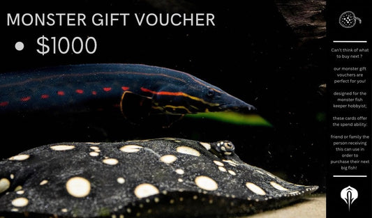 Monster Gift Vouchers - Obsidian Aquatics