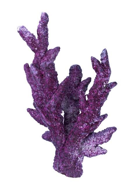 Real Reef Rock (Branch) - Per Kg - Obsidian Aquatics