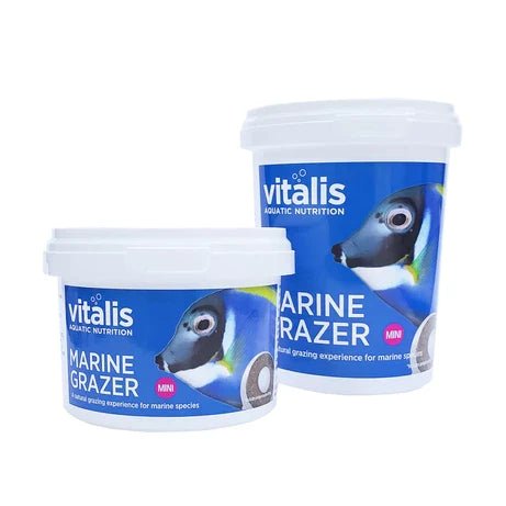 Vitalis Marine Grazer Mini - Obsidian Aquatics